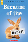 Cover of book Because of the Rabbit