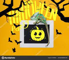 Halloween Party